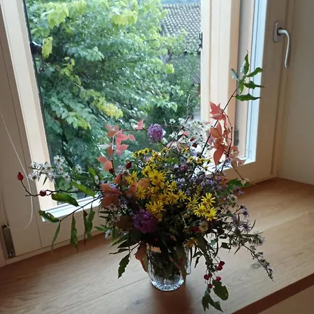 Annalisa 3* Sequsino